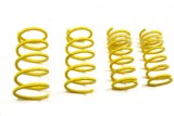 ����� ����� ST SUSPENSION